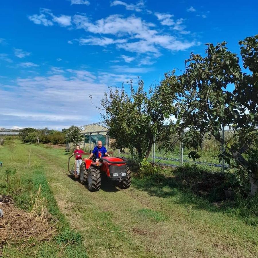 Vila Agriturismo Il Cipresso Vada Exteriér fotografie