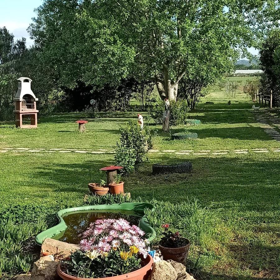 Vila Agriturismo Il Cipresso Vada Exteriér fotografie