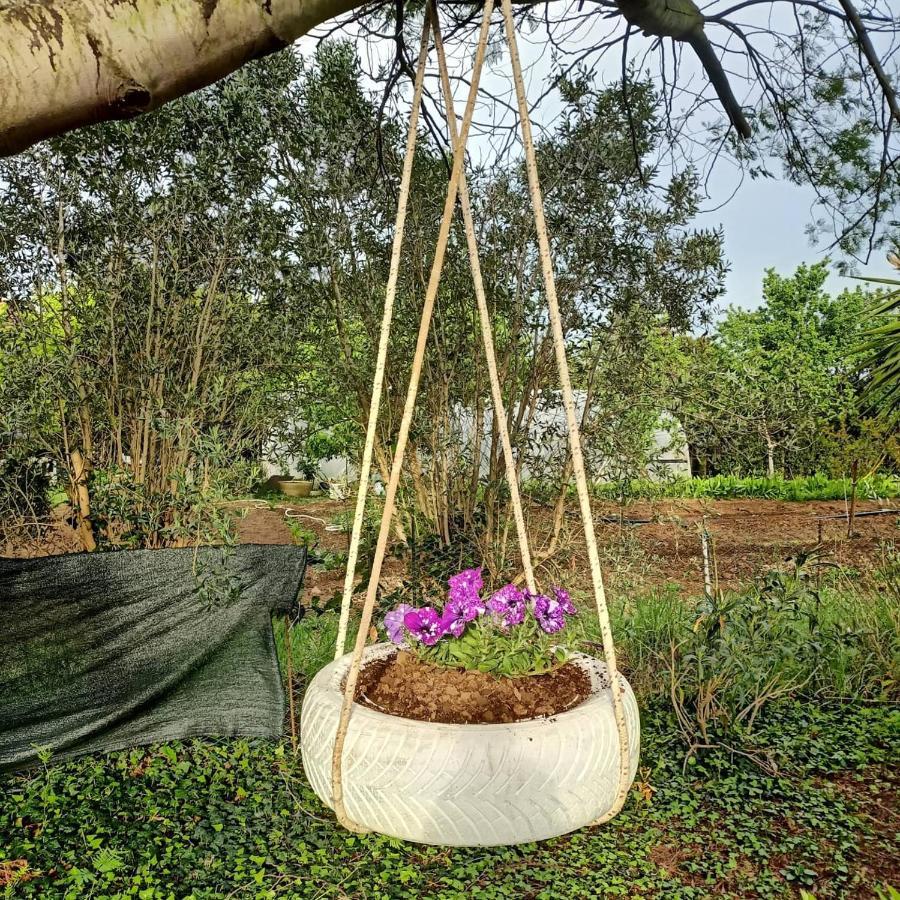 Agriturismo Il Cipresso Vada Exteriér fotografie