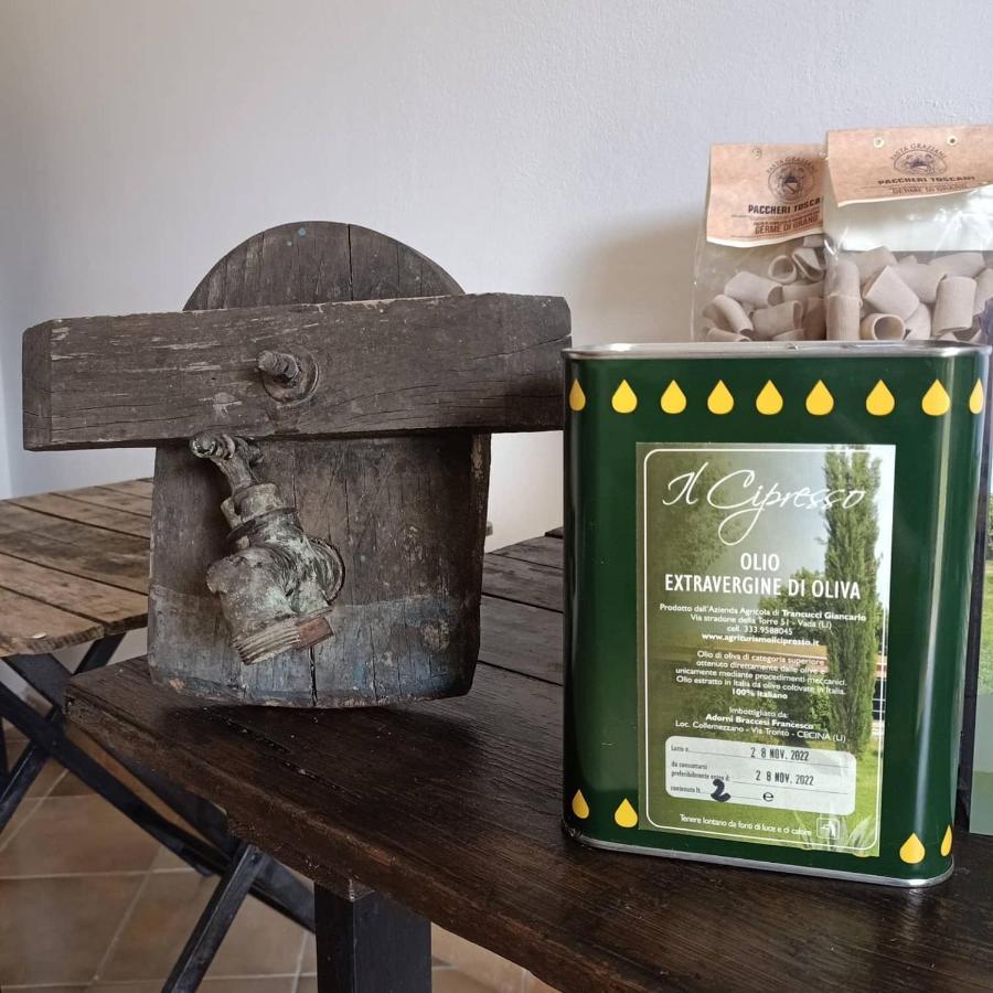 Agriturismo Il Cipresso Vada Exteriér fotografie