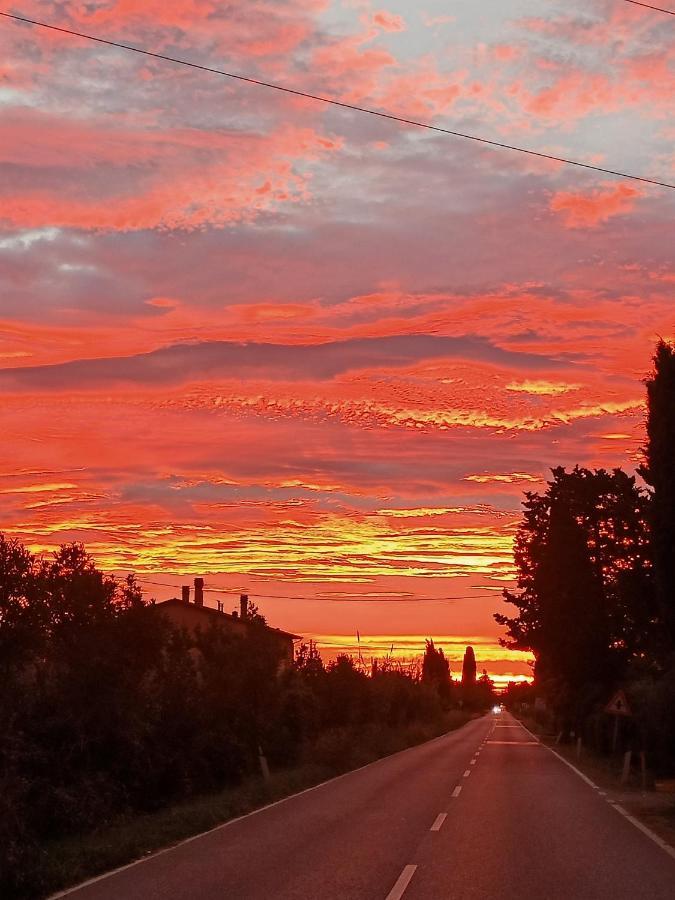 Vila Agriturismo Il Cipresso Vada Exteriér fotografie