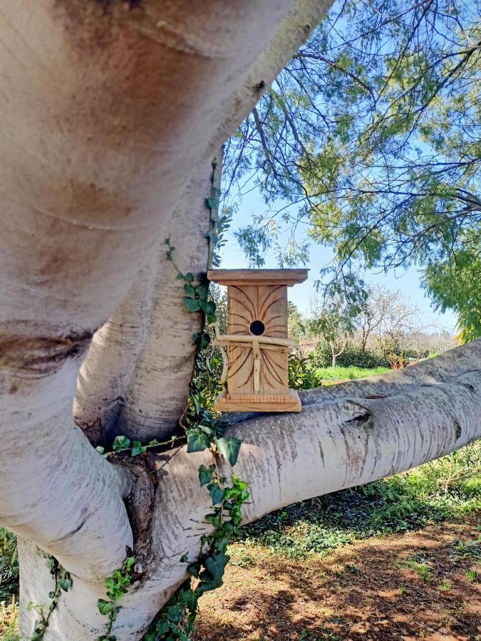 Vila Agriturismo Il Cipresso Vada Exteriér fotografie