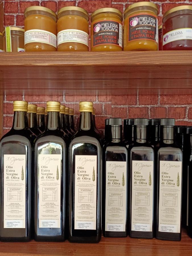 Agriturismo Il Cipresso Vada Exteriér fotografie