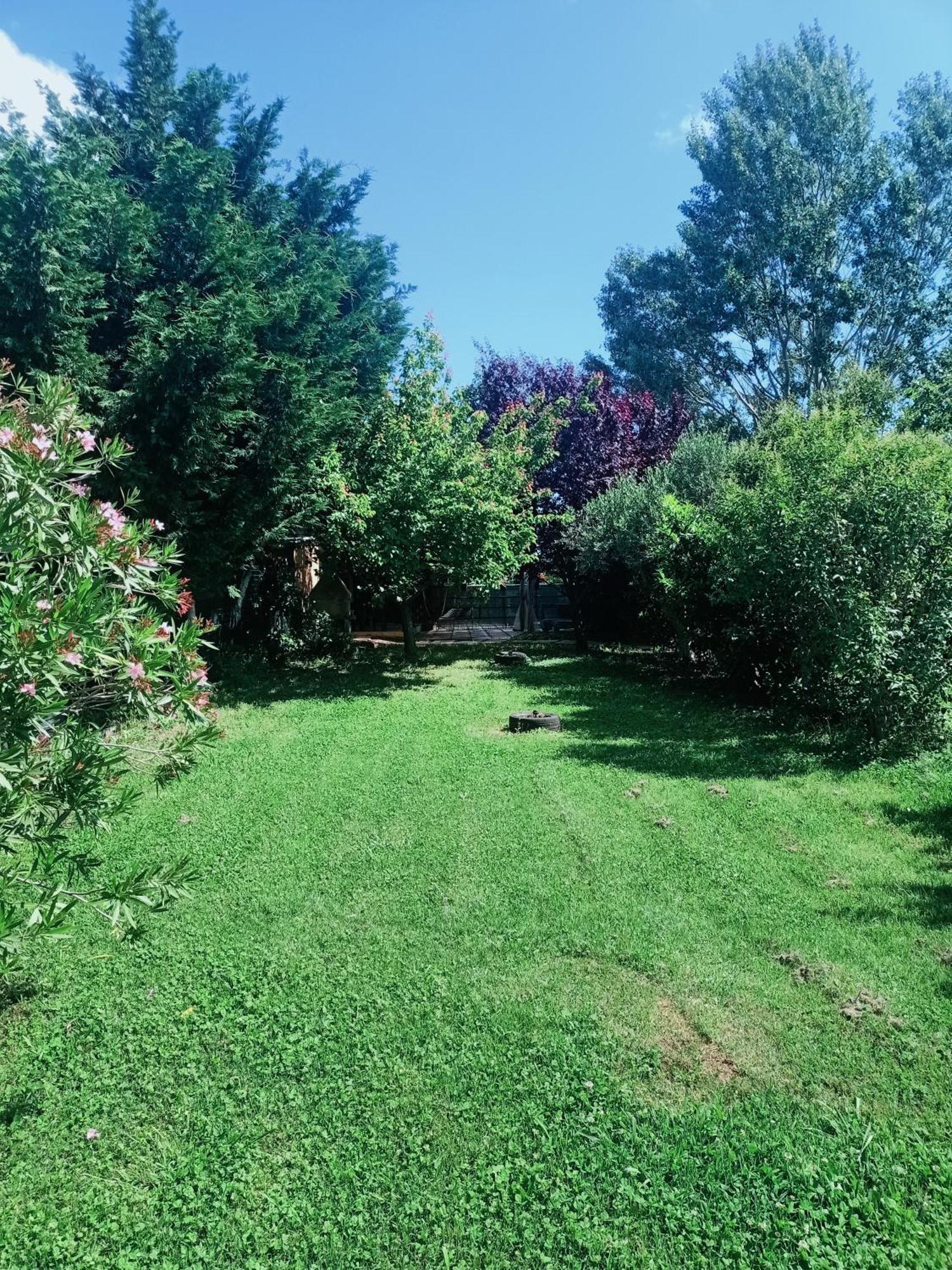 Agriturismo Il Cipresso Vada Exteriér fotografie