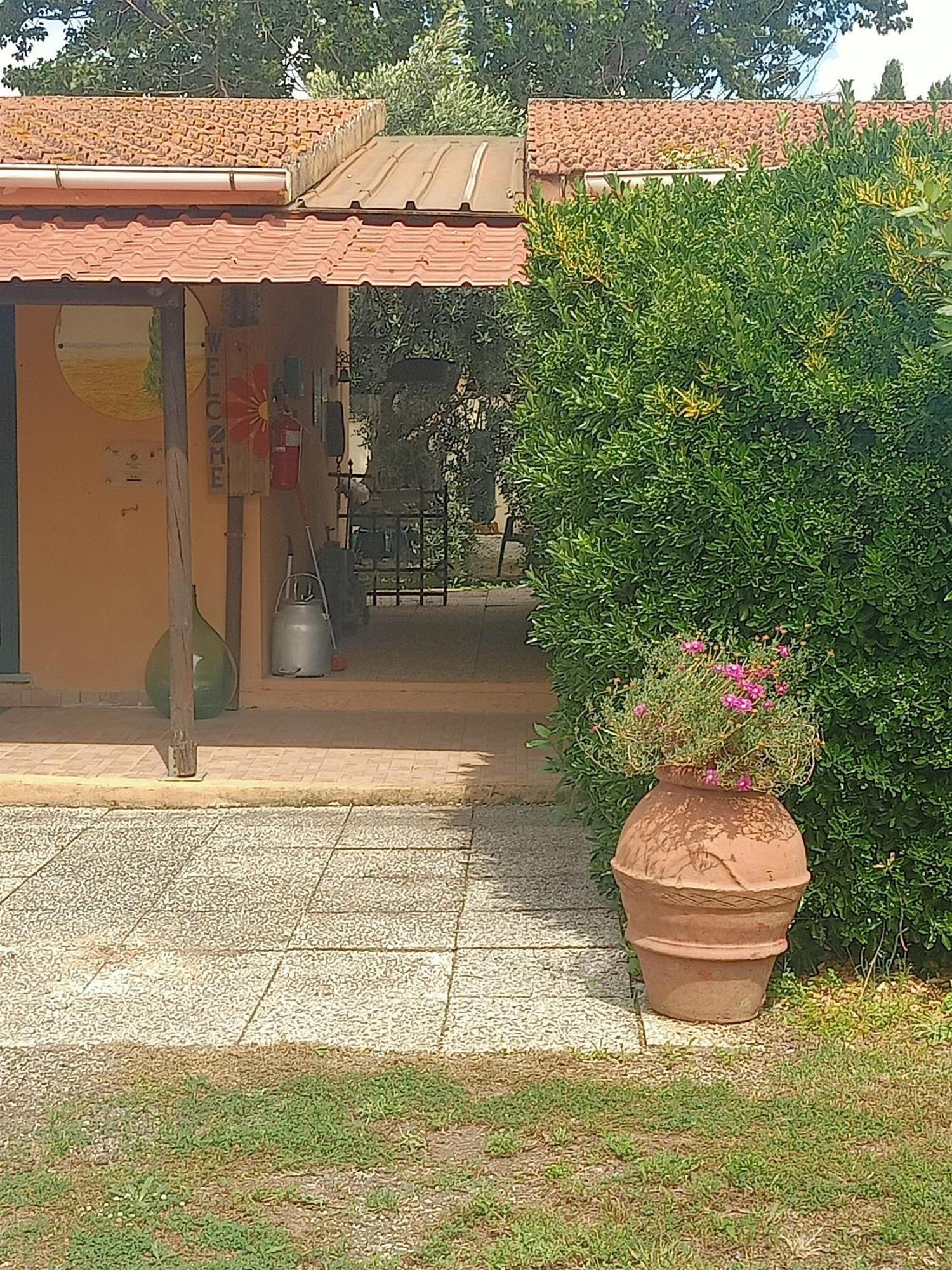 Agriturismo Il Cipresso Vada Exteriér fotografie