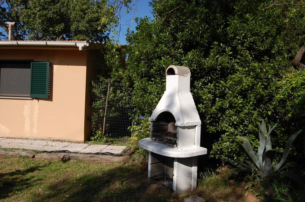 Agriturismo Il Cipresso Vada Exteriér fotografie