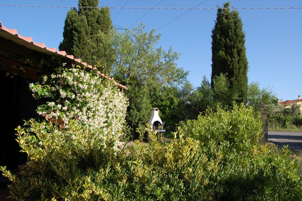 Vila Agriturismo Il Cipresso Vada Exteriér fotografie