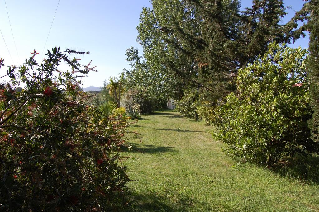 Agriturismo Il Cipresso Vada Exteriér fotografie